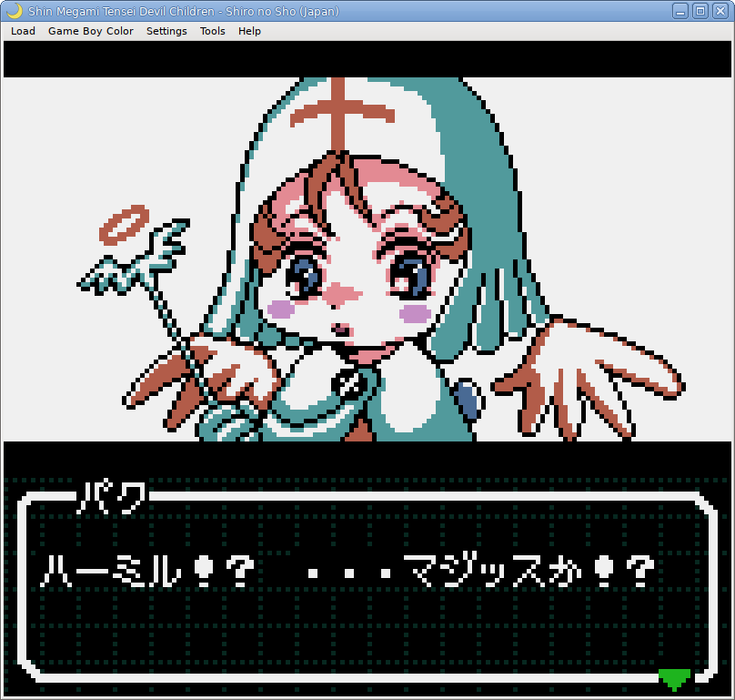 /images/gallery/game-boy-color_devichil-white-book.png