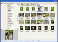 FastStone Image Viewer