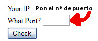 canyouseeme-numero-puerto