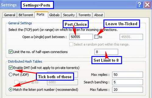 optimize-halite-speed-port-choice-dht