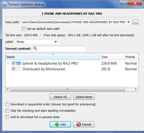 qbittorrent-help-main-window-add-torrent-advanced-dialog