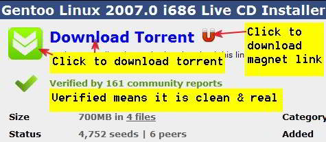btJunkie-description-page-for-torrent