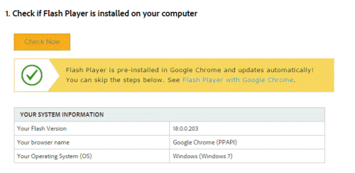 Flash player check