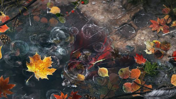 Wallpaper Autumn Leaves in water