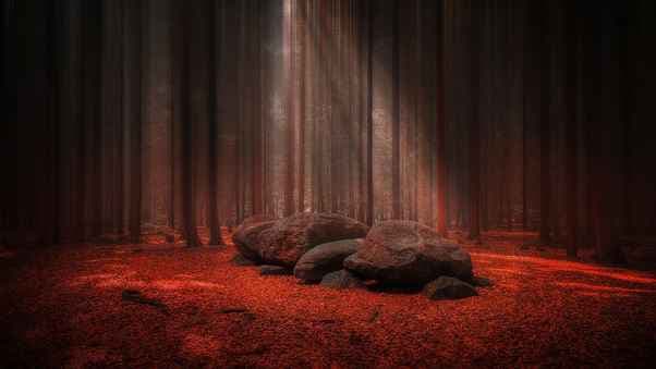 Wallpaper Red Forest Stones