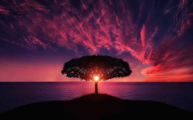 Colorful red sunset