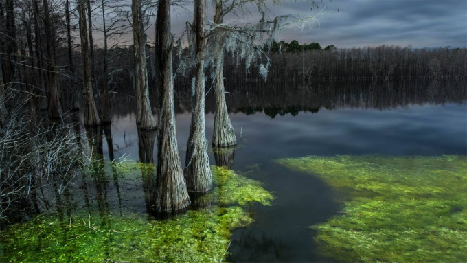 Pine Log Forest State Park, Florida